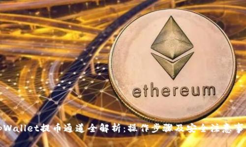 tpWallet提币通道全解析:操作步骤及安全注意事项