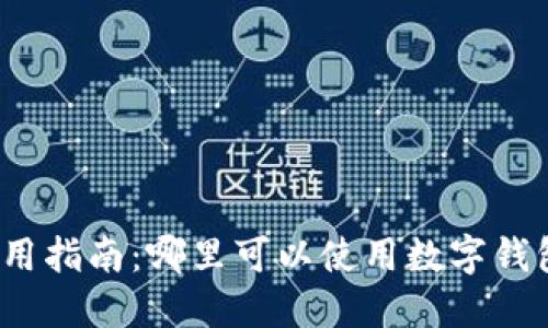 数字钱包使用指南:哪里可以使用数字钱包进行支付?
