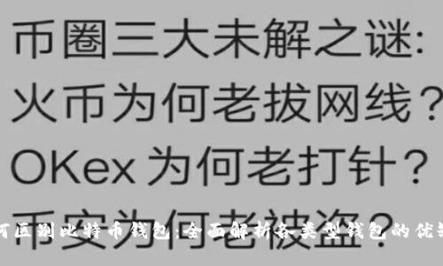 如何区别比特币钱包:全面解析各类型钱包的优缺点