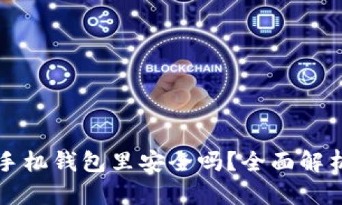 狗狗币放在手机钱包里安全吗?全面解析与风险防范
