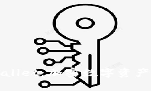 深入了解tpWallet:加密数字资产管理的新选择