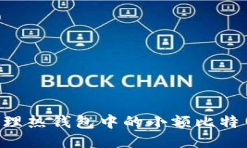如何安全管理热钱包中的小额比特币:全面指南
