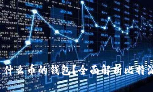 jiaoti比特派是什么币的钱包?全面解析比特派的功能与优势