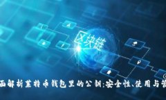 全面解析莱特币钱包里的公钥：安全性