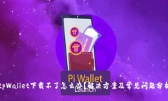 tpWallet下载不了怎么办？解决方案及常见问题分析
