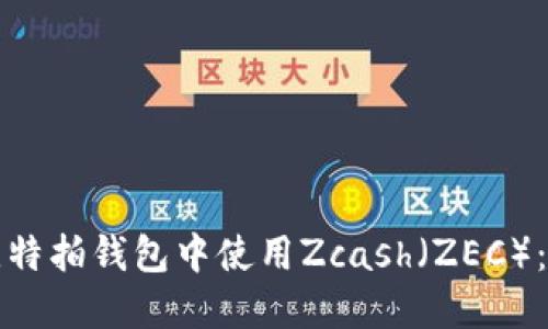 如何在比特拍钱包中使用Zcash(ZEC):全面指南