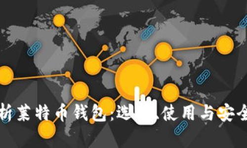 全面解析莱特币钱包:选择、使用与安全性指南