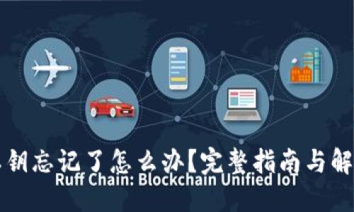 钱包私钥忘记了怎么办?完整指南与解决方案
