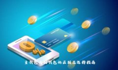 主钱包与副钱包的区别及选择指南
