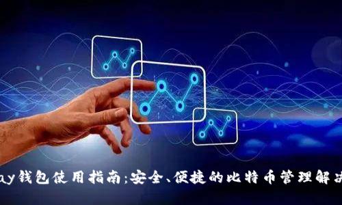 BitPay钱包使用指南:安全、便捷的比特币管理解决方案