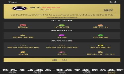 数字钱包查看指南:轻松掌握你的数字资产