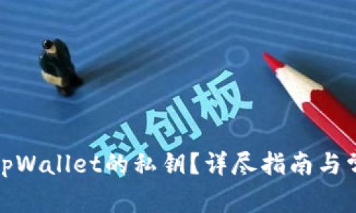 : 如何找回tpWallet的私钥?详尽指南与常见问题解析