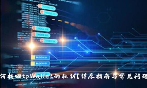 : 如何找回tpWallet的私钥?详尽指南与常见问题解析