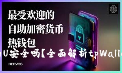 tpWallet里面的U安全吗?全面解析tpWallet安全性与风险