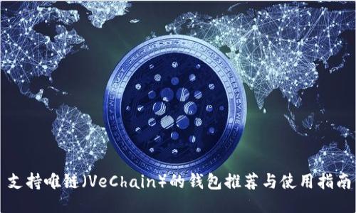 支持唯链(VeChain)的钱包推荐与使用指南