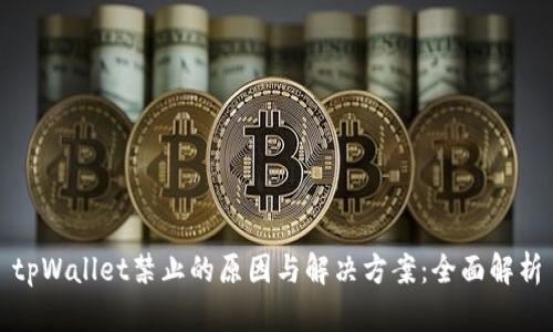 tpWallet禁止的原因与解决方案:全面解析