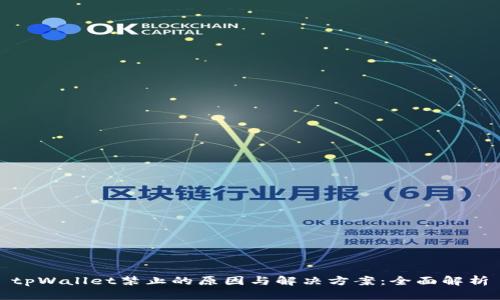 tpWallet禁止的原因与解决方案:全面解析