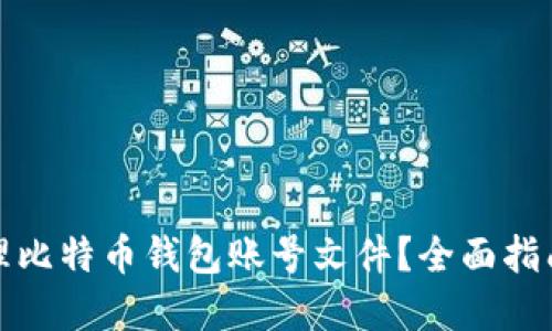 如何安全管理比特币钱包账号文件?全面指南与实用技巧