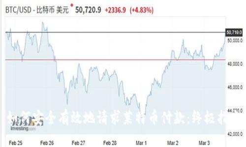 如何安全有效地请求莱特币付款:终极指南