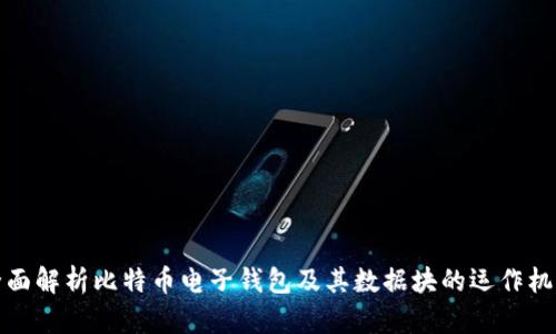 全面解析比特币电子钱包及其数据块的运作机制