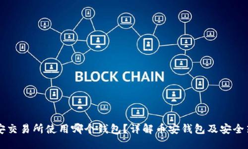币安交易所使用哪个钱包?详解币安钱包及安全策略