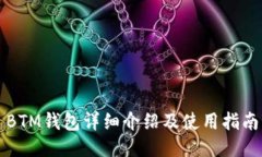 BTM钱包详细介绍及使用指南
