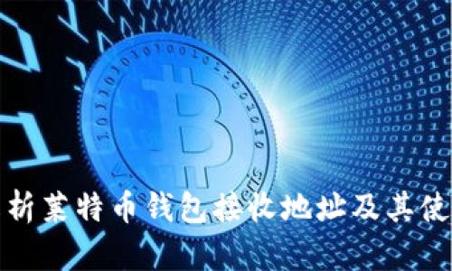 全面解析莱特币钱包接收地址及其使用技巧