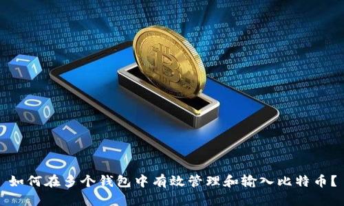 如何在多个钱包中有效管理和输入比特币?