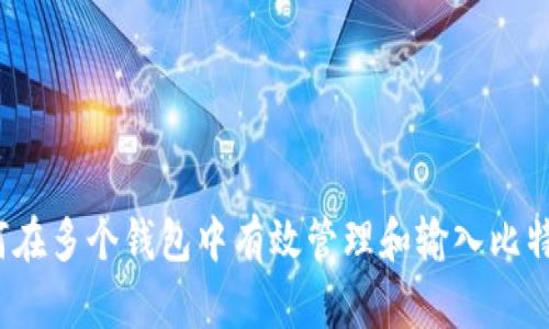 如何在多个钱包中有效管理和输入比特币?