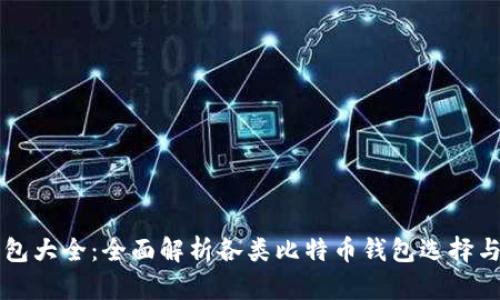比特币钱包大全:全面解析各类比特币钱包选择与使用指南