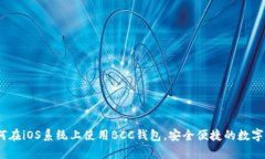 完全解析：如何在iOS系统上使用BCC钱包
