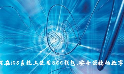完全解析:如何在iOS系统上使用BCC钱包,安全便捷的数字货币管理方案