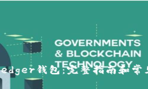 如何购买Ledger钱包:完整指南和常见问题解答