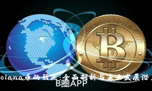 Solana币的弱点:全面剖析与未来发展潜力