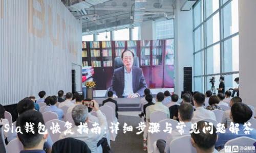 Sia钱包恢复指南:详细步骤与常见问题解答