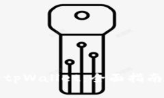 如何找回丢失的tpWallet：全面指南与常