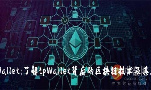 tpWallet:了解tpWallet背后的区块链技术及其应用