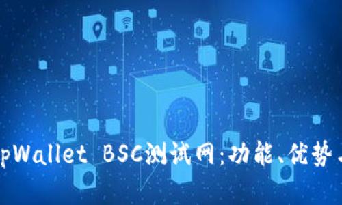 全面解析tpWallet BSC测试网:功能、优势与使用指南