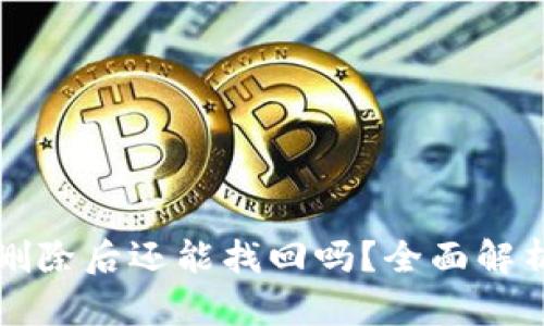 tpWallet币删除后还能找回吗?全面解析与解决方案