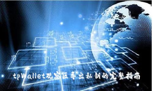 tpWallet观察区导出私钥的完整指南
