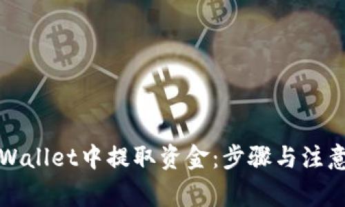 如何在tpWallet中提取资金:步骤与注意事项解析