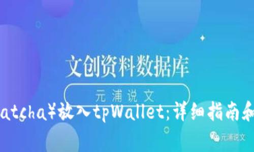 如何将抹茶(Matcha)放入tpWallet:详细指南和常见问题解答