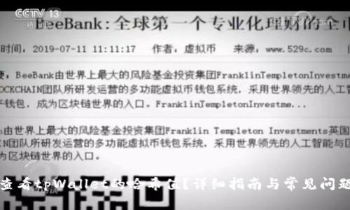 如何查看tpWallet的哈希值?详细指南与常见问题解答