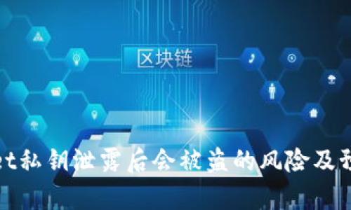 tpWallet私钥泄露后会被盗的风险及预防措施