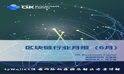 tpWallet没有网络的原因及解决方案详解