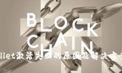 tpWallet激活失败的原因及解决方案详解
