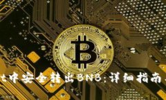 如何在tpWallet中安全转出BNB：详细指南