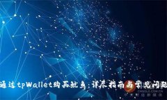 如何通过tpWallet购买鱿鱼：详尽指南与