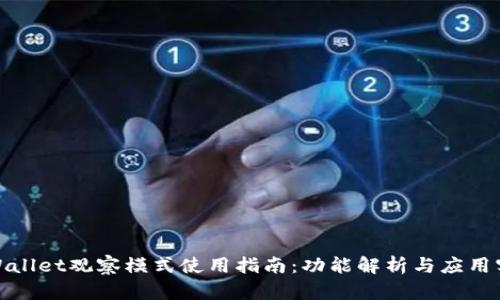 tpWallet观察模式使用指南:功能解析与应用实例