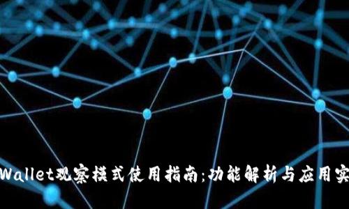 tpWallet观察模式使用指南:功能解析与应用实例